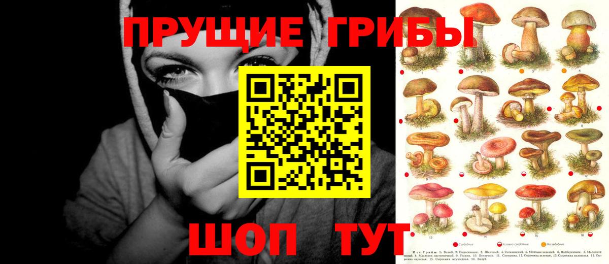 Псилоцибиновые грибы Magic Shrooms Глазов