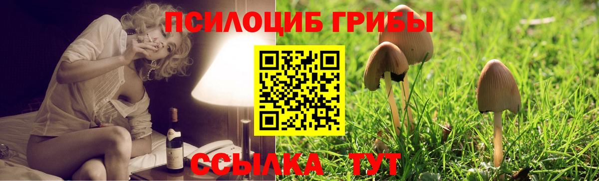Галлюциногенные грибы MAGIC MUSHROOMS  Вход с VPN  где можно купить наркотик  Глазов 